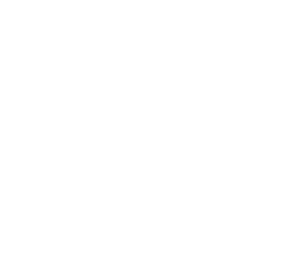 icon fees