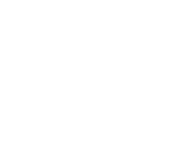 icon techniques